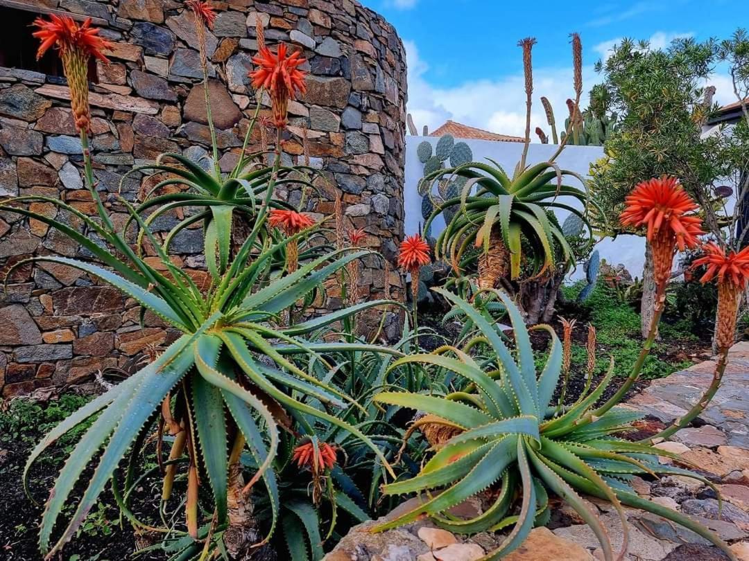 Appartamento Casita De Lea Costa De Antigua Esterno foto